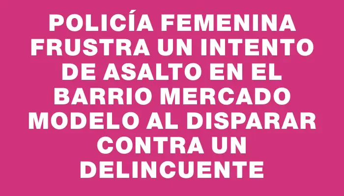 Policía femenina frustra un intento de asalto en el barrio Mercado Modelo al disparar contra un delincuente