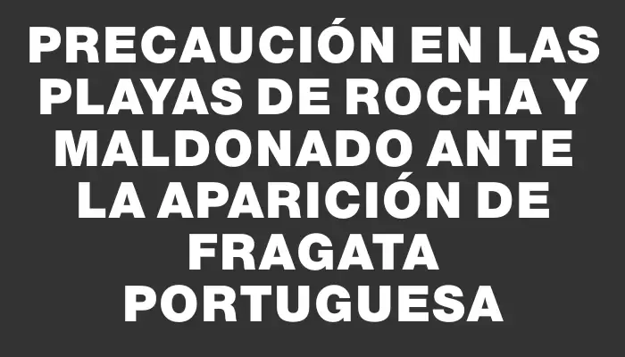 Precaución en las playas de Rocha y Maldonado ante la aparición de fragata portuguesa