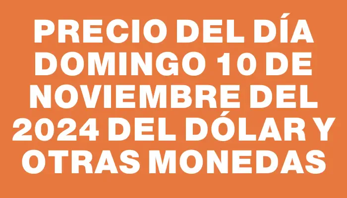 Precio del día Domingo 10 de noviembre del 2024 del dólar y otras monedas