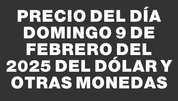 Precio del día Domingo 9 de febrero del 2025 del dólar y otras monedas