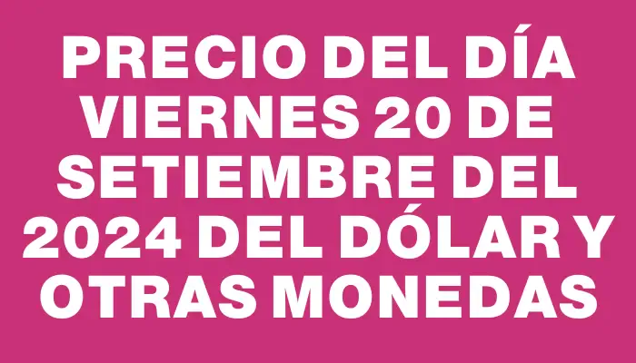 Precio del día Viernes 20 de setiembre del 2024 del dólar y otras monedas