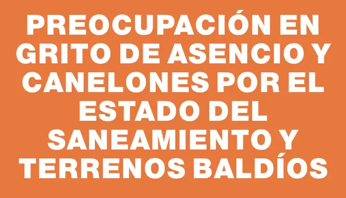 Preocupación en Grito de Asencio y Canelones por el estado del saneamiento y terrenos baldíos