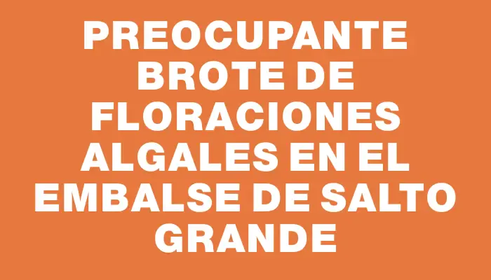 Preocupante brote de floraciones algales en el embalse de Salto Grande