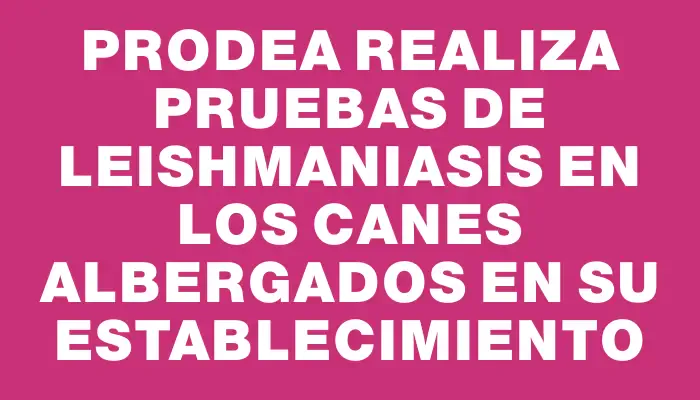 Prodea realiza pruebas de leishmaniasis en los canes albergados en su establecimiento