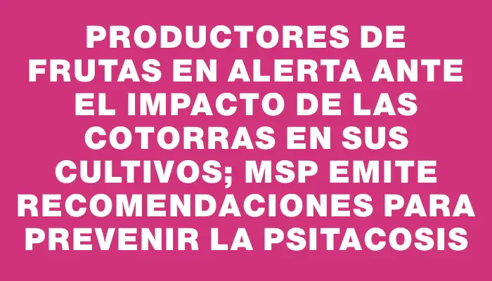 Productores de frutas en alerta ante el impacto de las cotorras en sus cultivos; Msp emite recomendaciones para prevenir la psitacosis