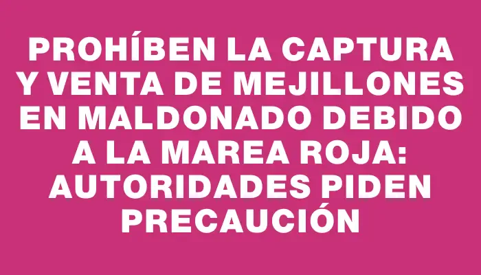 Prohíben la captura y venta de mejillones en Maldonado debido a la marea roja: Autoridades piden precaución