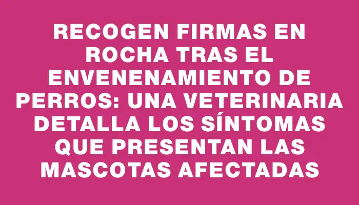 Recogen firmas en Rocha tras el envenenamiento de perros: una veterinaria detalla los síntomas que presentan las mascotas afectadas
