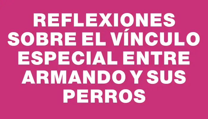 Reflexiones sobre el vínculo especial entre Armando y sus perros