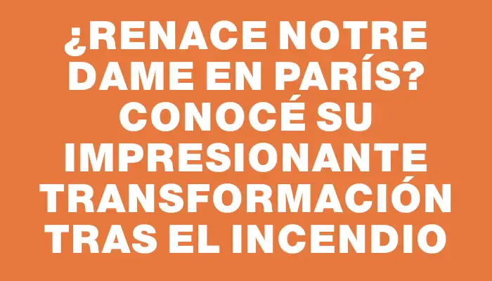 ¿Renace Notre Dame en París? Conocé su impresionante transformación tras el incendio