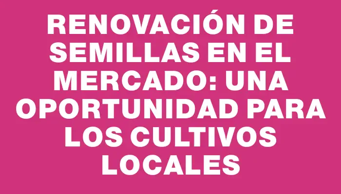 Renovación de semillas en el Mercado: una oportunidad para los cultivos locales