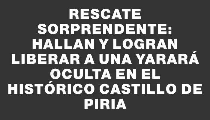 Rescate sorprendente: hallan y logran liberar a una yarará oculta en el histórico Castillo de Piria