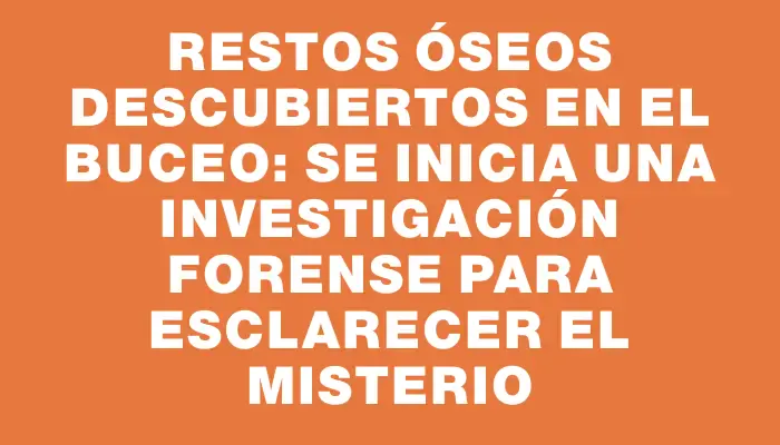 Restos óseos descubiertos en el Buceo: se inicia una investigación forense para esclarecer el misterio