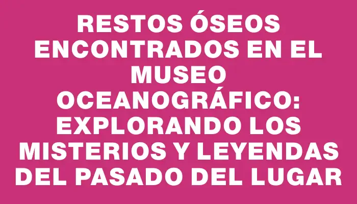 Restos óseos encontrados en el Museo Oceanográfico: explorando los misterios y leyendas del pasado del lugar