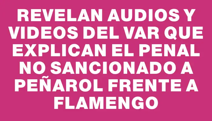 Revelan audios y videos del Var que explican el penal no sancionado a Peñarol frente a Flamengo