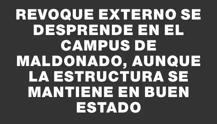 Revoque externo se desprende en el Campus de Maldonado, aunque la estructura se mantiene en buen estado