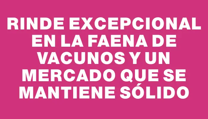 Rinde excepcional en la faena de vacunos y un mercado que se mantiene sólido