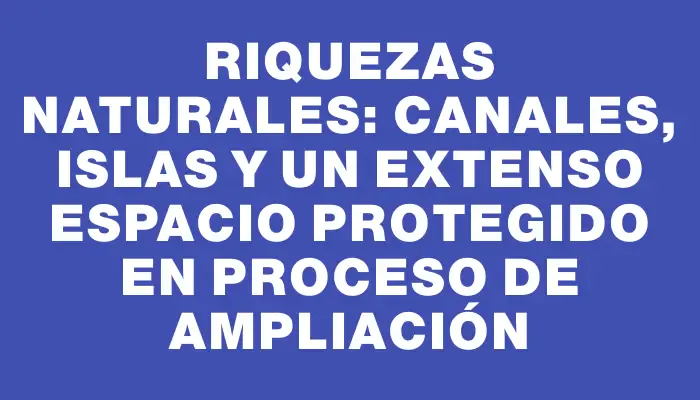 Riquezas naturales: Canales, islas y un extenso espacio protegido en proceso de ampliación