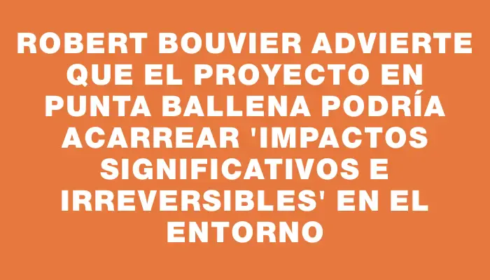 Robert Bouvier advierte que el proyecto en Punta Ballena podría acarrear "impactos significativos e irreversibles" en el entorno