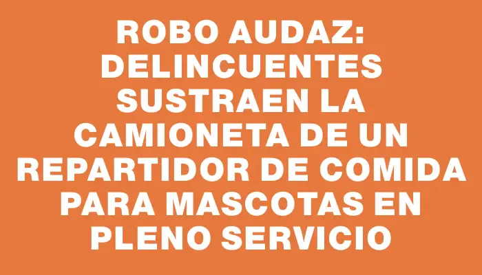 Robo audaz: delincuentes sustraen la camioneta de un repartidor de comida para mascotas en pleno servicio