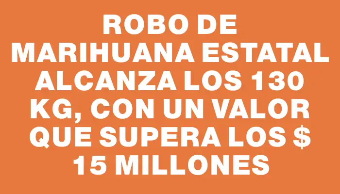 Robo de marihuana estatal alcanza los 130 kg, con un valor que supera los $ 15 millones