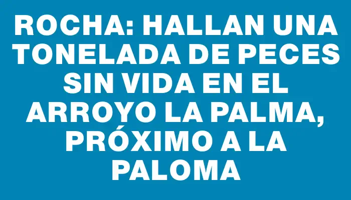 Rocha: hallan una tonelada de peces sin vida en el arroyo La Palma, próximo a La Paloma