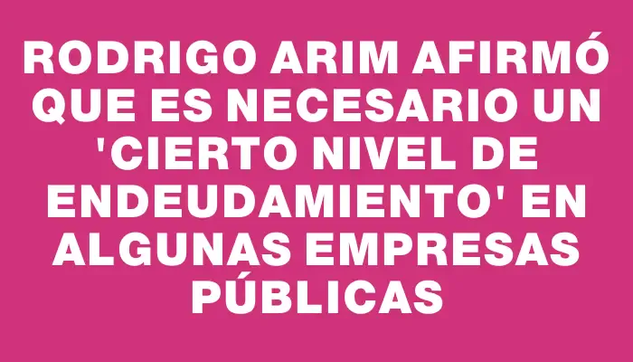 Rodrigo Arim afirmó que es necesario un "cierto nivel de endeudamiento" en algunas empresas públicas