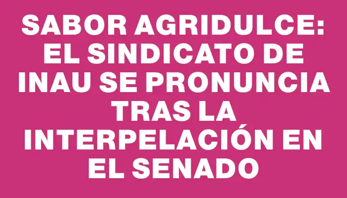 Sabor agridulce: el sindicato de Inau se pronuncia tras la interpelación en el Senado