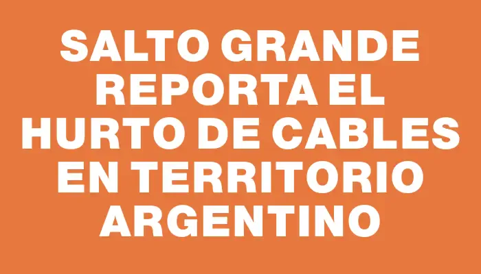 Salto Grande reporta el hurto de cables en territorio argentino