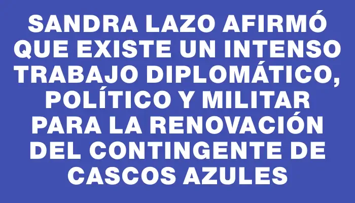 Sandra Lazo afirmó que existe un intenso trabajo diplomático, político y militar para la renovación del contingente de cascos azules