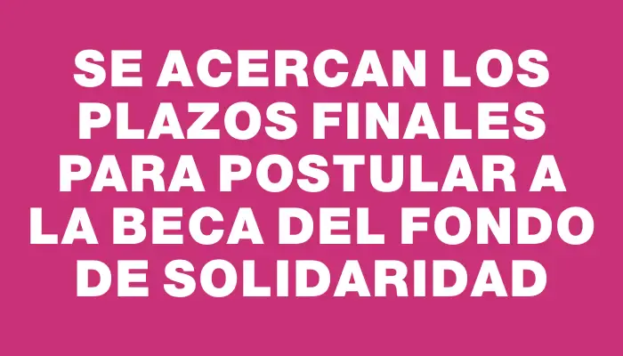 Se acercan los plazos finales para postular a la beca del Fondo de Solidaridad