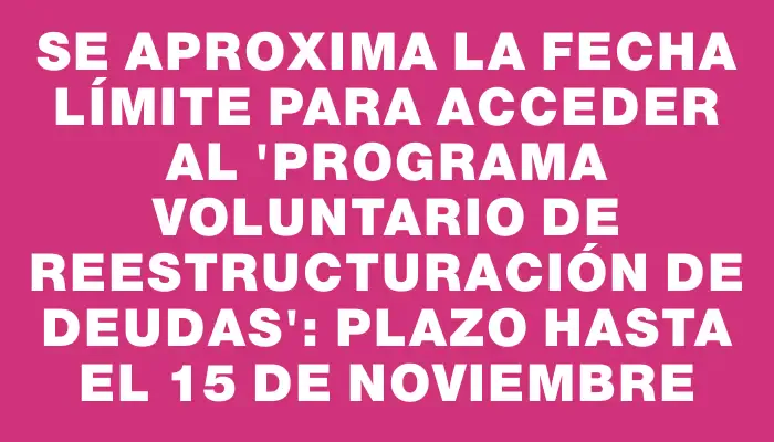 Se aproxima la fecha límite para acceder al “Programa Voluntario de Reestructuración de Deudas”: plazo hasta el 15 de noviembre