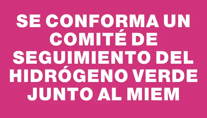 Se conforma un comité de seguimiento del hidrógeno verde junto al Miem