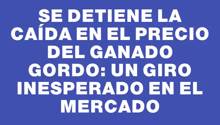 Se detiene la caída en el precio del ganado gordo: un giro inesperado en el mercado