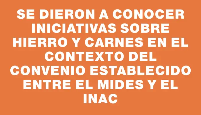 Se dieron a conocer iniciativas sobre hierro y carnes en el contexto del convenio establecido entre el Mides y el Inac