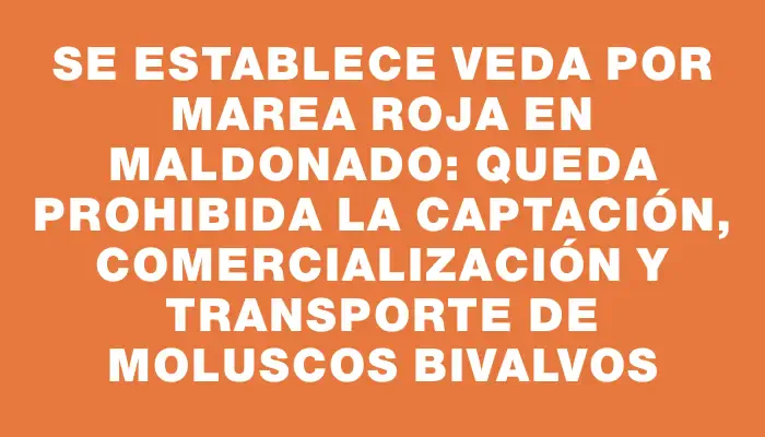 Se establece veda por marea roja en Maldonado: queda prohibida la captación, comercialización y transporte de moluscos bivalvos