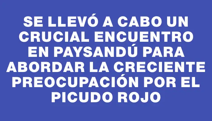 Se llevó a cabo un crucial encuentro en Paysandú para abordar la creciente preocupación por el Picudo Rojo