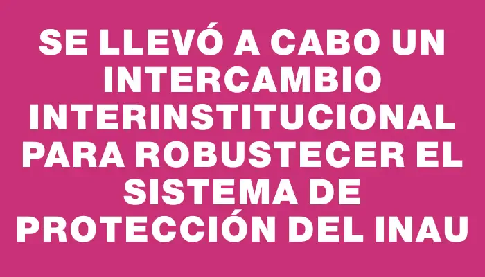 Se llevó a cabo un intercambio interinstitucional para robustecer el sistema de protección del Inau