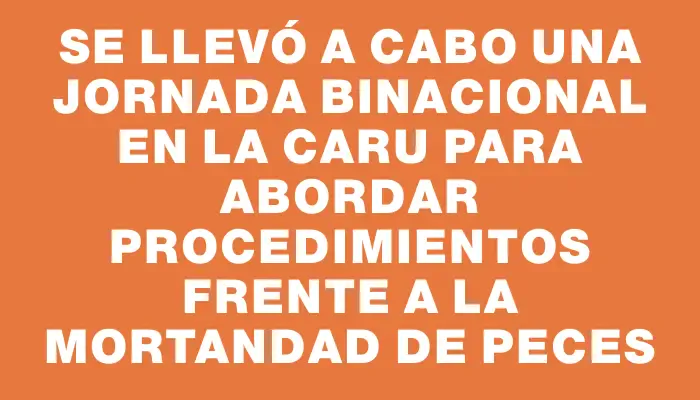 Se llevó a cabo una jornada binacional en la Caru para abordar procedimientos frente a la mortandad de peces