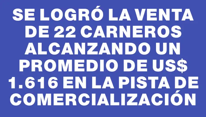 Se logró la venta de 22 carneros alcanzando un promedio de Us$ 1.616 en la pista de comercialización