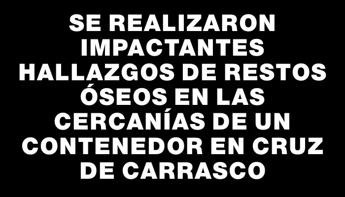 Se realizaron impactantes hallazgos de restos óseos en las cercanías de un contenedor en Cruz de Carrasco