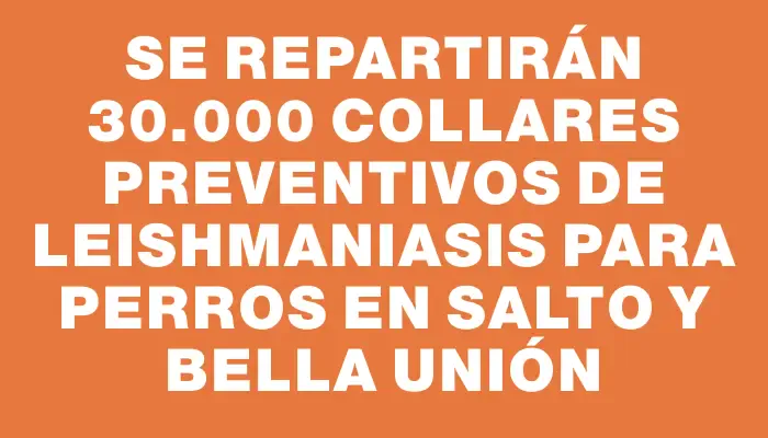 Se repartirán 30.000 collares preventivos de leishmaniasis para perros en Salto y Bella Unión