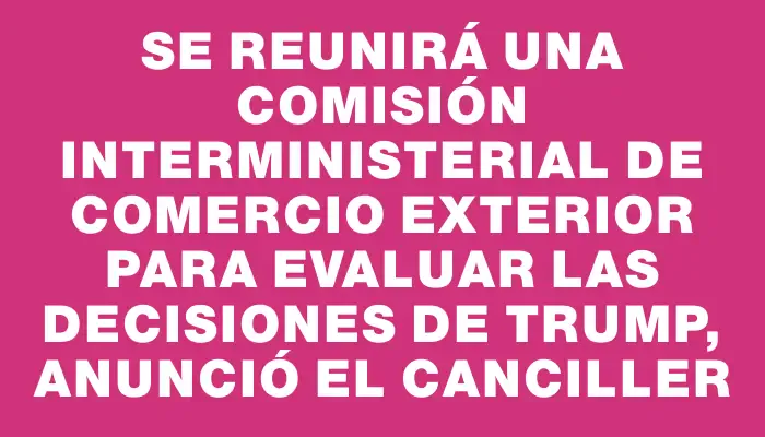 Se reunirá una comisión interministerial de comercio exterior para evaluar las decisiones de Trump, anunció el canciller