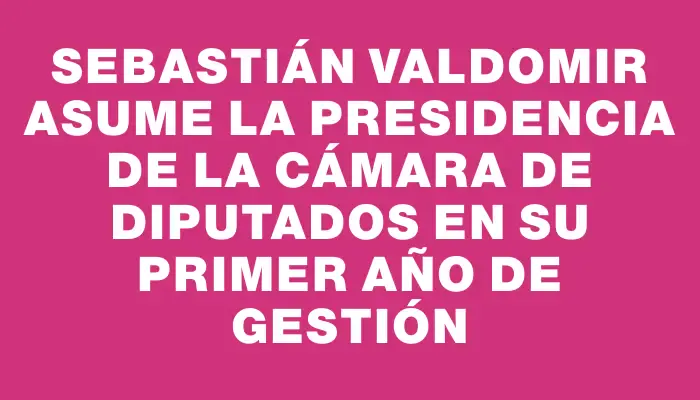 Sebastián Valdomir asume la presidencia de la Cámara de Diputados en su primer año de gestión