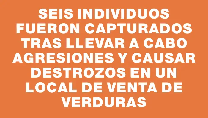 Seis individuos fueron capturados tras llevar a cabo agresiones y causar destrozos en un local de venta de verduras