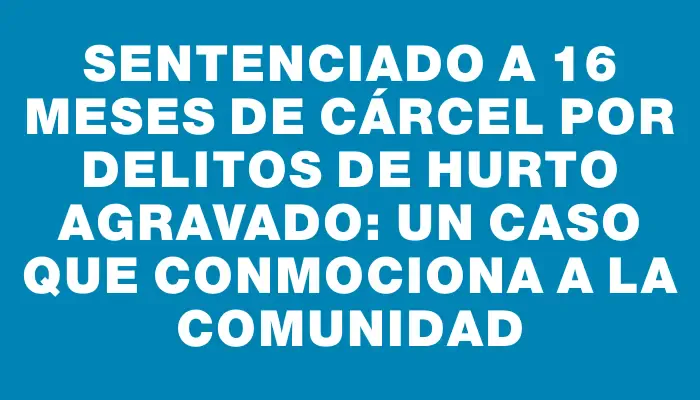 Sentenciado a 16 meses de cárcel por delitos de hurto agravado: un caso que conmociona a la comunidad