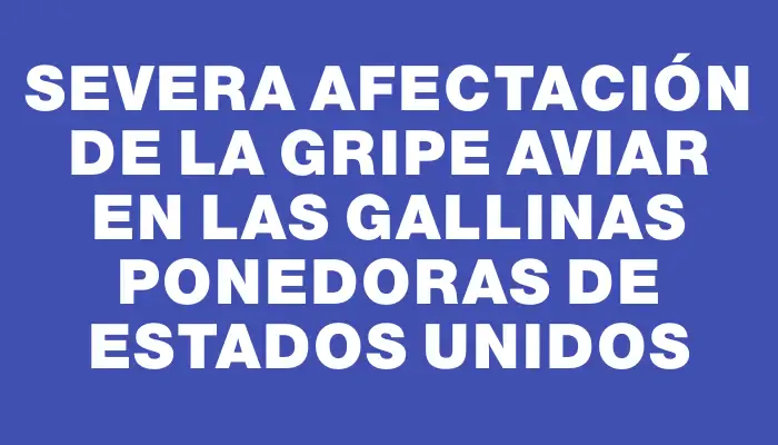 Severa afectación de la gripe aviar en las gallinas ponedoras de Estados Unidos