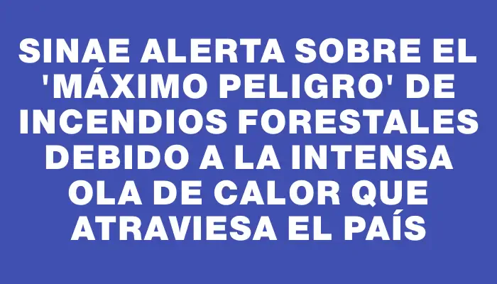 Sinae alerta sobre el "máximo peligro" de incendios forestales debido a la intensa ola de calor que atraviesa el país