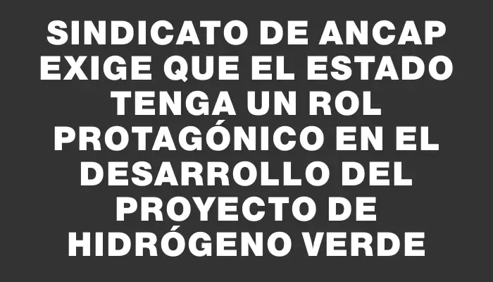 Sindicato de Ancap exige que el Estado tenga un rol protagónico en el desarrollo del proyecto de hidrógeno verde