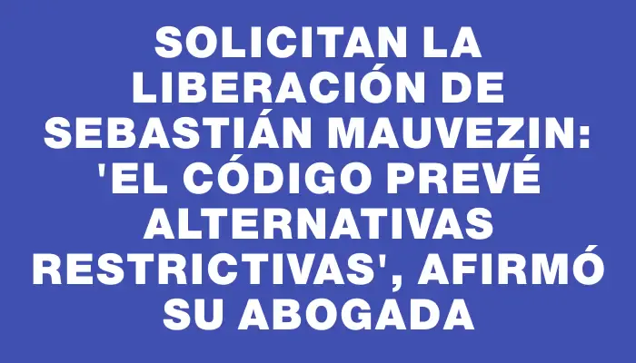 Solicitan la liberación de Sebastián Mauvezin: "El Código prevé alternativas restrictivas", afirmó su abogada