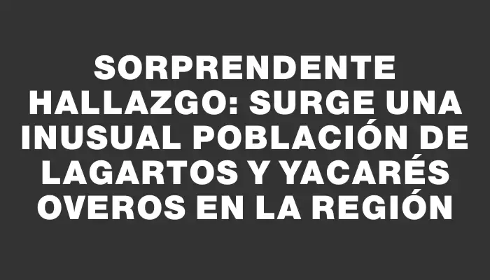 Sorprendente hallazgo: surge una inusual población de lagartos y yacarés overos en la región